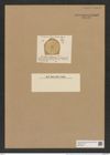 Actinoptychus ceylanensis Lend.-Fortm. (de-Toni-Nr.: Genus 227, Species 5563) Zeichnungen Sammlung Grunow Nr. 9592 (NHMW-BOT-W0379410)